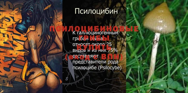 a pvp Абинск
