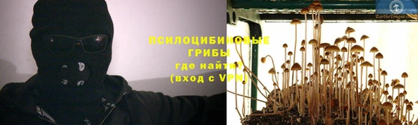 a pvp Абинск
