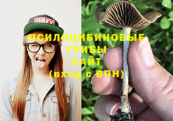 a pvp Абинск