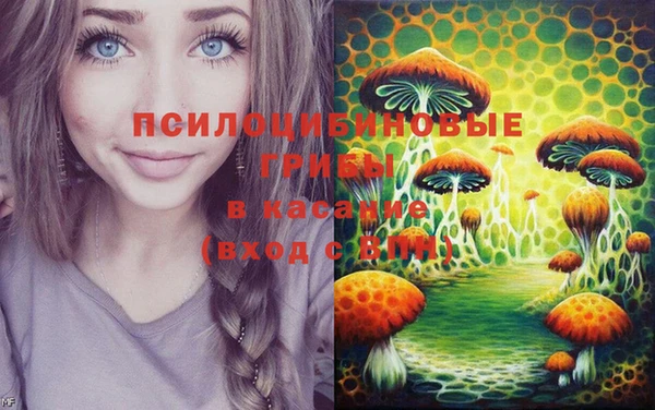 спиды Абаза