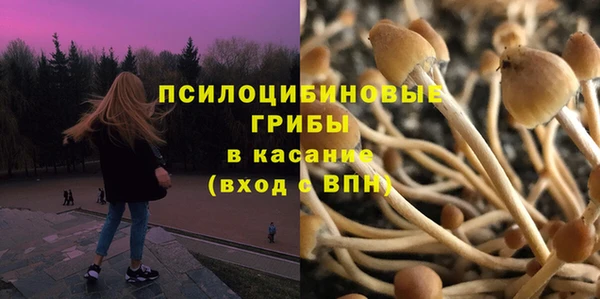 a pvp Абинск